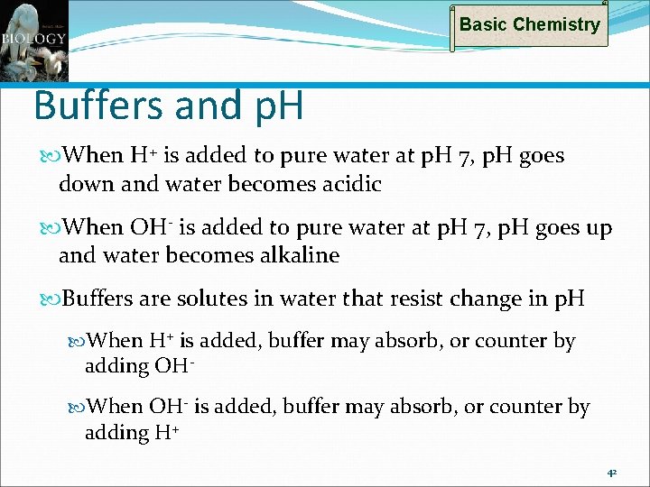 Basic Chemistry Buffers and p. H When H+ is added to pure water at