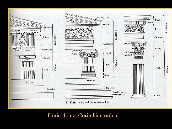 Doric, Ionic, Corinthian orders 