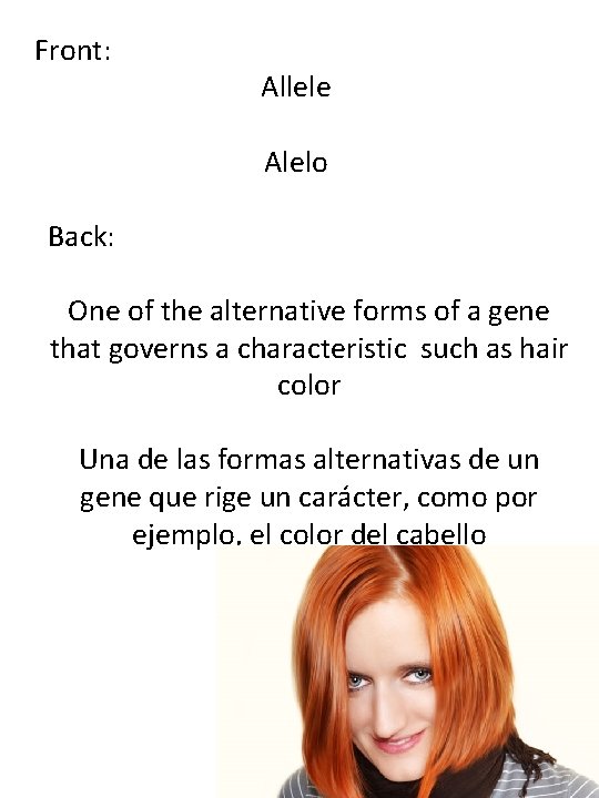 Front: Allele Alelo Back: One of the alternative forms of a gene that governs