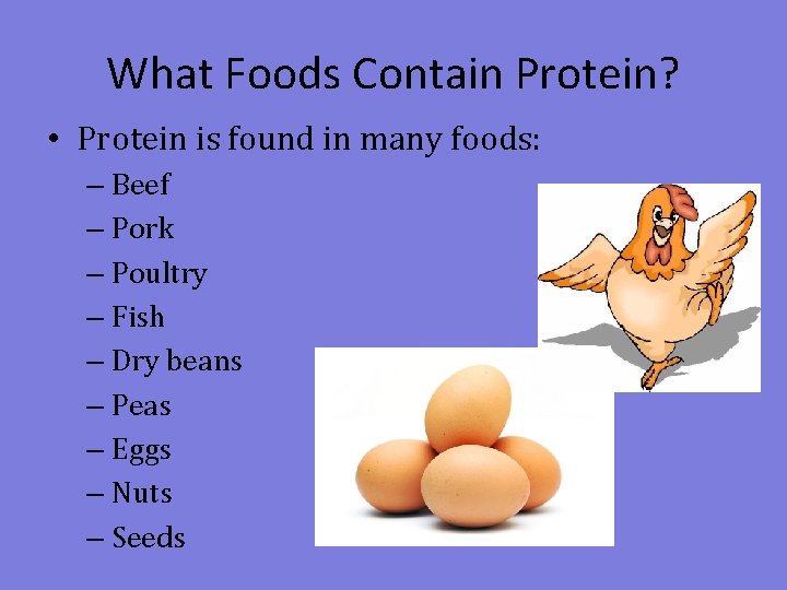What Foods Contain Protein? • Protein is found in many foods: – Beef –
