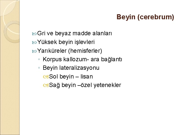 Beyin (cerebrum) Gri ve beyaz madde alanları Yüksek beyin işlevleri Yarıküreler (hemisferler) ◦ Korpus