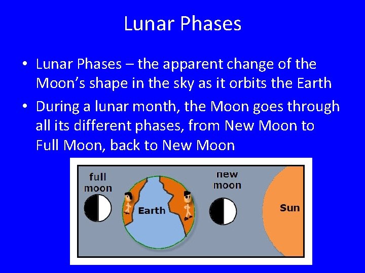 Lunar Phases • Lunar Phases – the apparent change of the Moon’s shape in