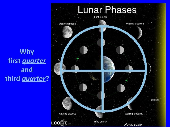 Why first quarter and third quarter? 