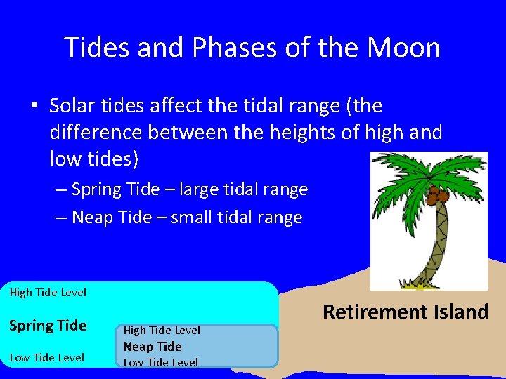 Tides and Phases of the Moon • Solar tides affect the tidal range (the