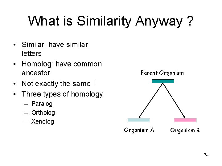 What is Similarity Anyway ? • Similar: have similar letters • Homolog: have common