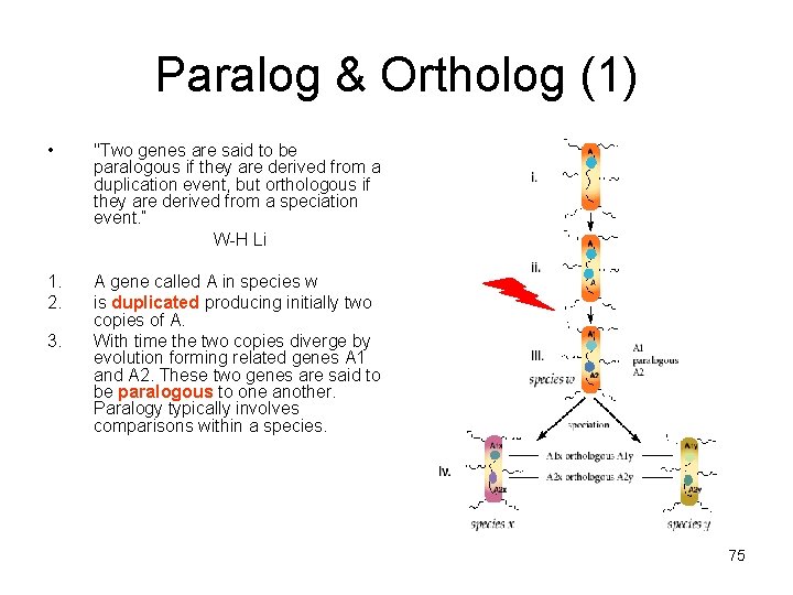 Paralog & Ortholog (1) • "Two genes are said to be paralogous if they