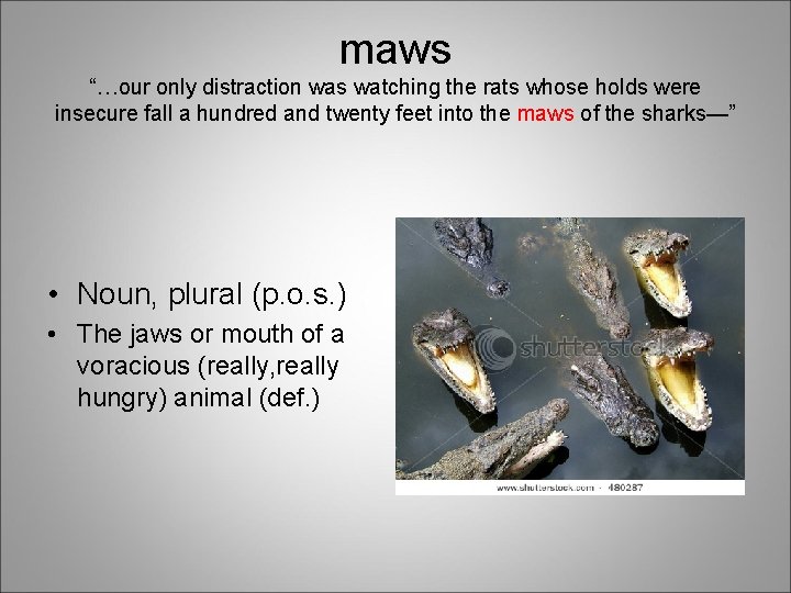 maws “…our only distraction was watching the rats whose holds were insecure fall a