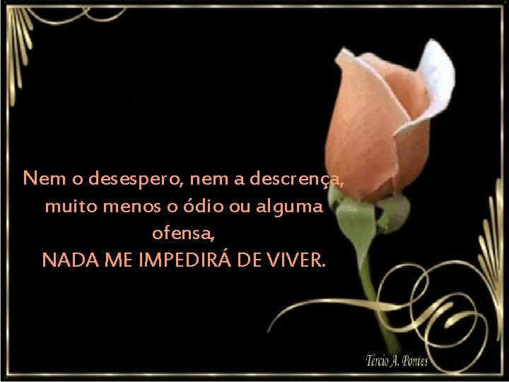 Nem o desespero, nem a descrença, muito menos o ódio ou alguma ofensa, NADA