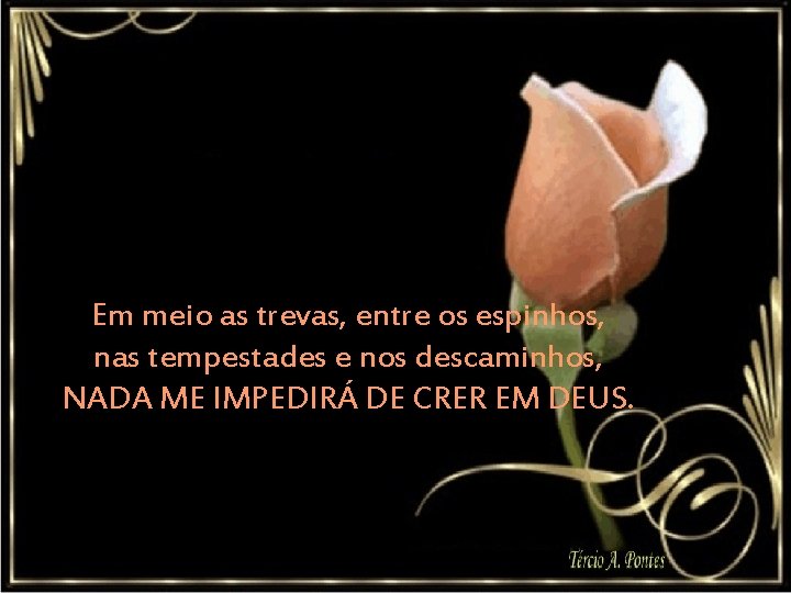 Em meio as trevas, entre os espinhos, nas tempestades e nos descaminhos, NADA ME