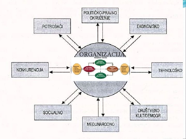 ORGANIZACIJA 16 