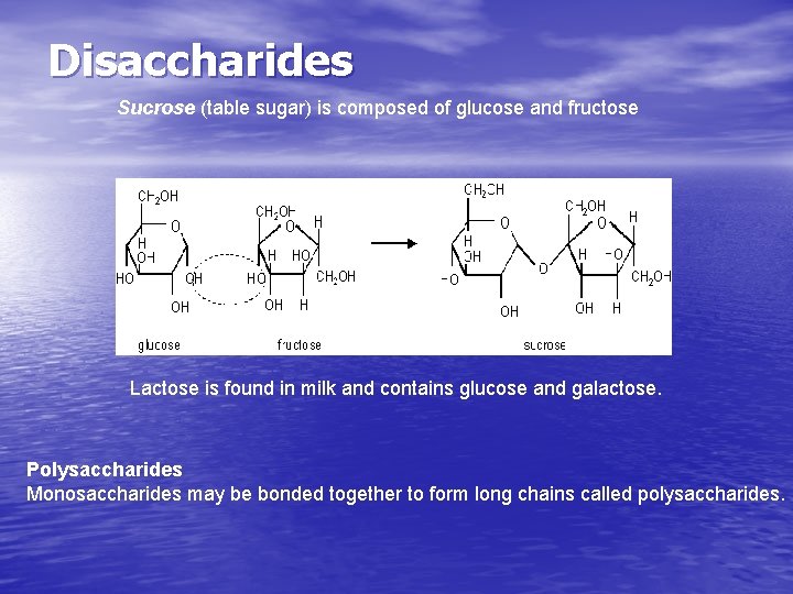 Disaccharides Sucrose (table sugar) is composed of glucose and fructose Lactose is found in