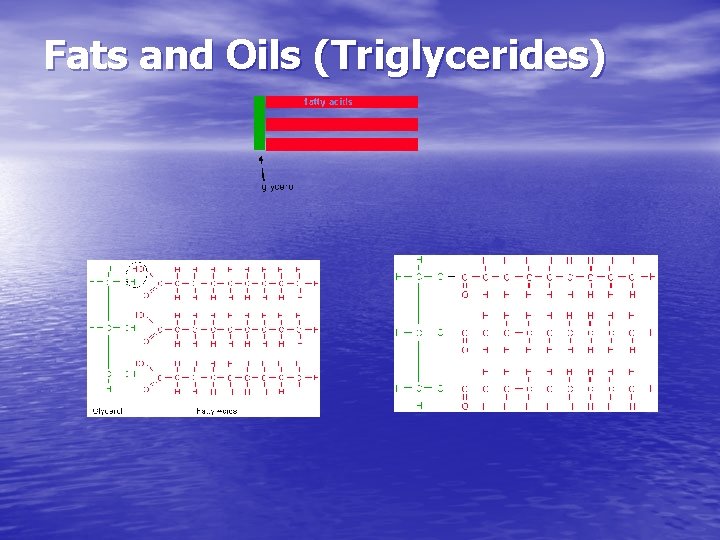 Fats and Oils (Triglycerides) Fats and Oils (Triglycerides)