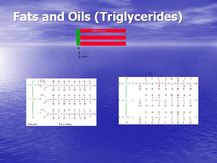 Fats and Oils (Triglycerides) 