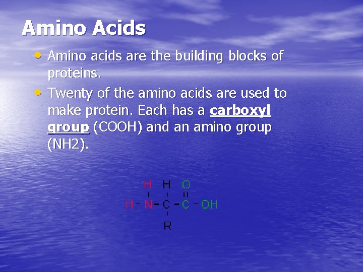 Amino Acids • Amino acids are the building blocks of • proteins. Twenty of