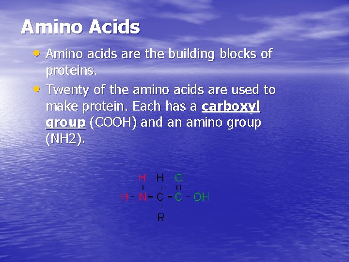 Amino Acids • Amino acids are the building blocks of • proteins. Twenty of Amino Acids • Amino acids are the building blocks of • proteins. Twenty of