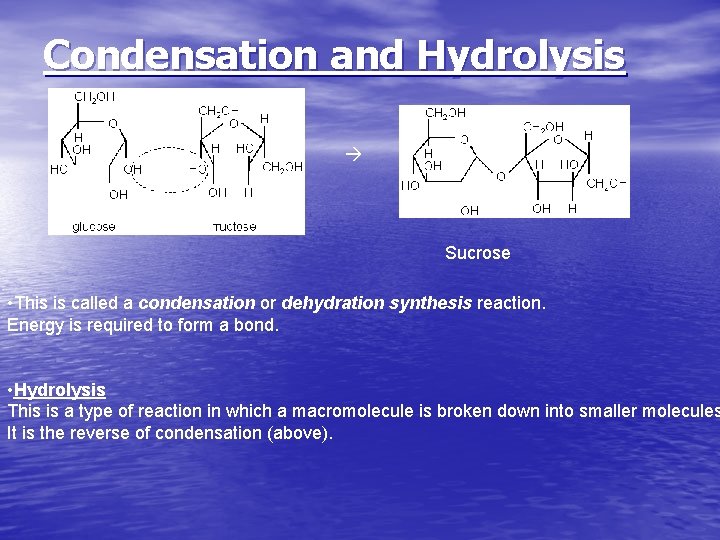 Condensation and Hydrolysis Sucrose • This is called a condensation or dehydration synthesis reaction. Condensation and Hydrolysis Sucrose • This is called a condensation or dehydration synthesis reaction.