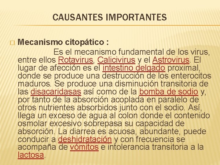 CAUSANTES IMPORTANTES � Mecanismo citopático : Es el mecanismo fundamental de los virus, entre