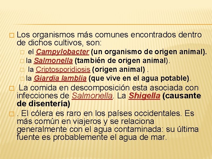 � Los organismos más comunes encontrados dentro de dichos cultivos, son: el Campylobacter (un