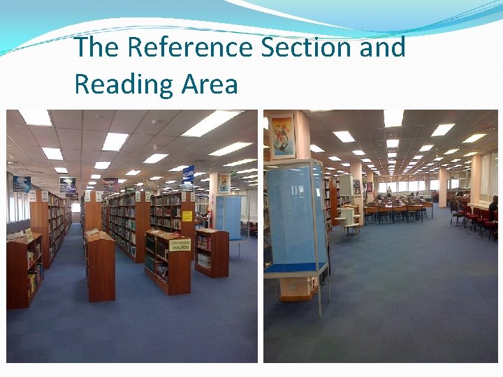 The Reference Section and Reading Area 