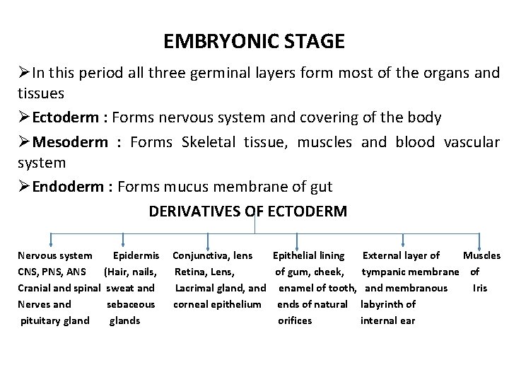 EMBRYONIC STAGE ØIn this period all three germinal layers form most of the organs