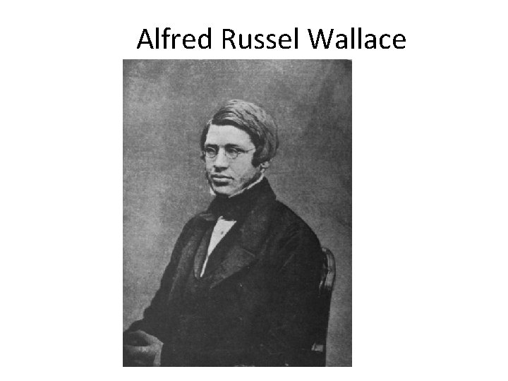 Alfred Russel Wallace 