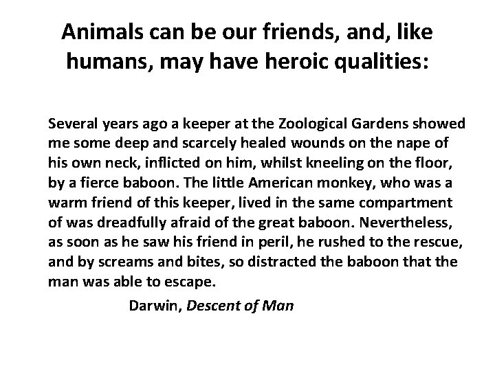 Animals can be our friends, and, like humans, may have heroic qualities: Several years