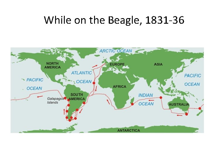 While on the Beagle, 1831 -36 