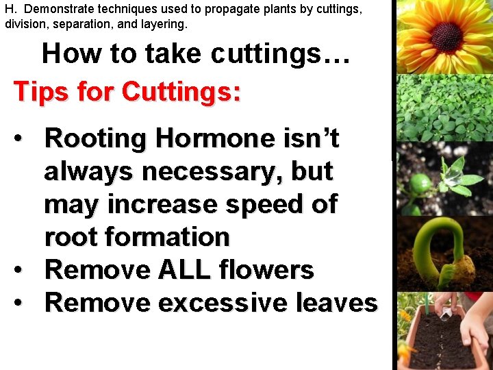 H. Demonstrate techniques used to propagate plants by cuttings, division, separation, and layering. How