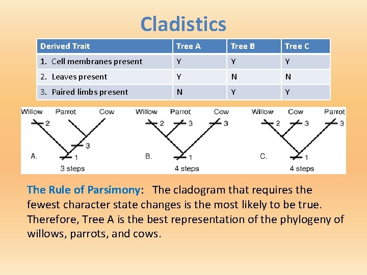 Cladistics Derived Trait Tree A Tree B Tree C 1. Cell membranes present Y