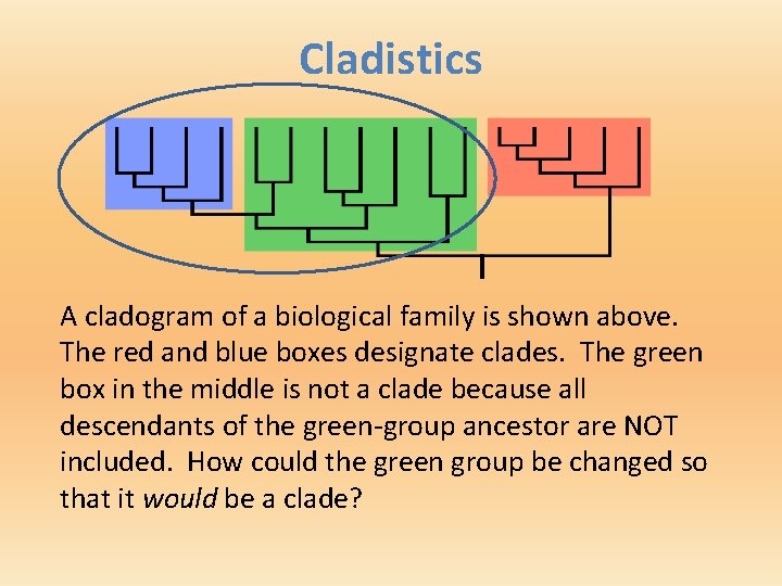 Cladistics A cladogram of a biological family is shown above. The red and blue