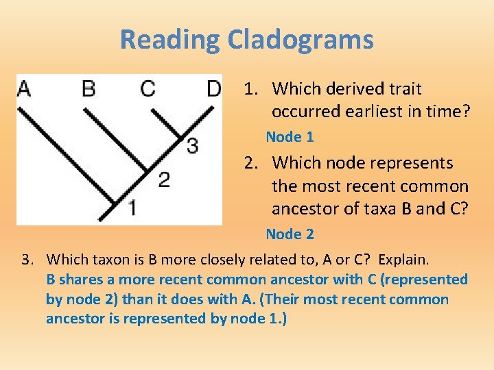 Reading Cladograms 1. Which derived trait occurred earliest in time? Node 1 2. Which