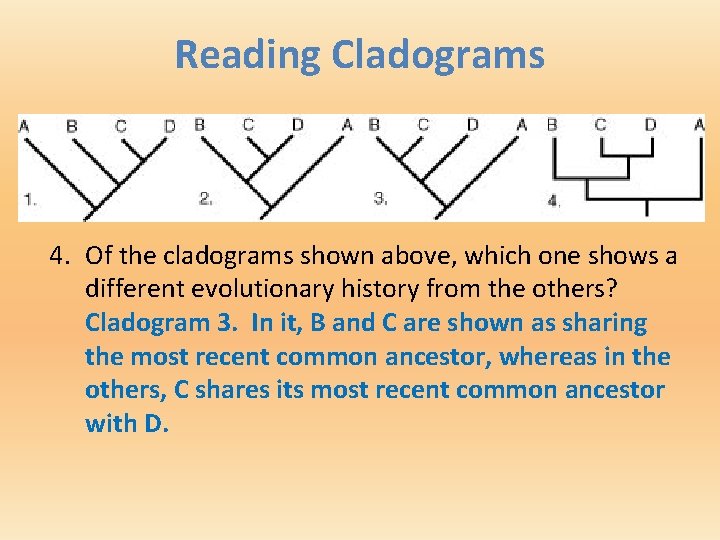 Reading Cladograms 4. Of the cladograms shown above, which one shows a different evolutionary