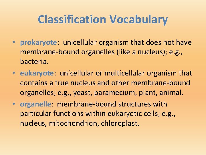 Classification Vocabulary • prokaryote: unicellular organism that does not have membrane-bound organelles (like a