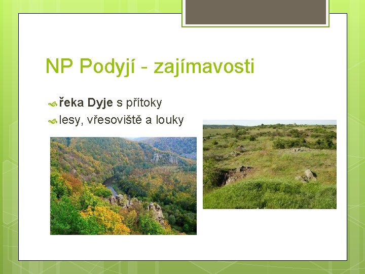 NP Podyjí - zajímavosti řeka Dyje s přítoky lesy, vřesoviště a louky 