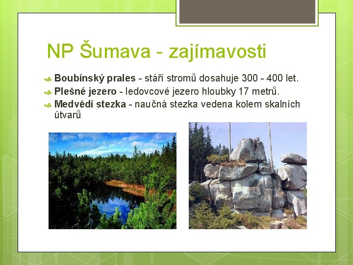 NP Šumava - zajímavosti Boubínský prales - stáří stromů dosahuje 300 - 400 let.