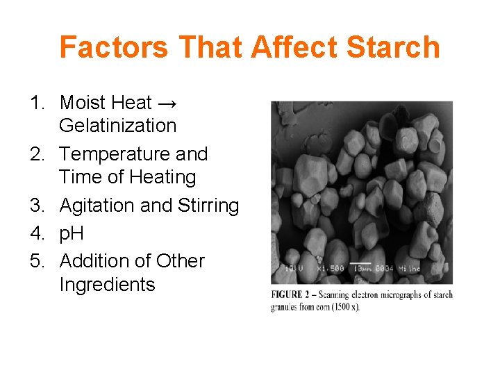 Factors That Affect Starch 1. Moist Heat → Gelatinization 2. Temperature and Time of