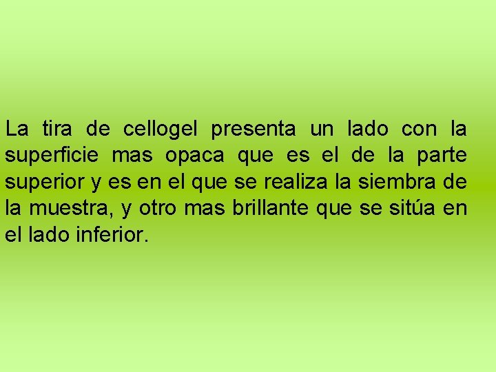 La tira de cellogel presenta un lado con la superficie mas opaca que es