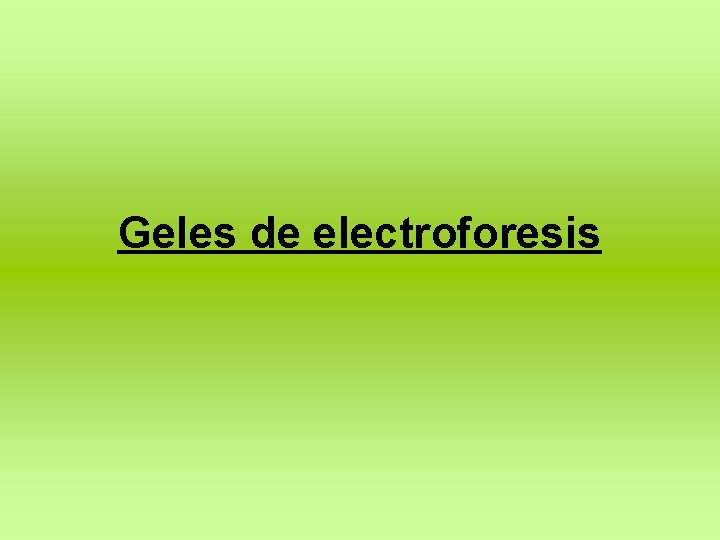 Geles de electroforesis 