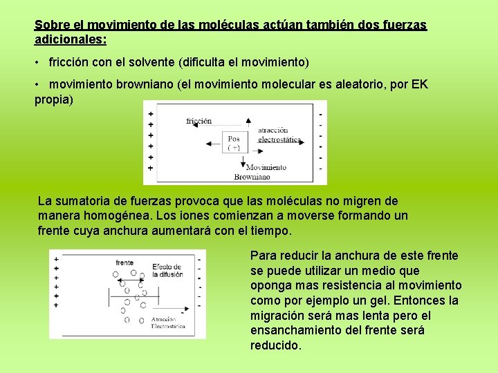 Sobre el movimiento de las moléculas actúan también dos fuerzas adicionales: • fricción con