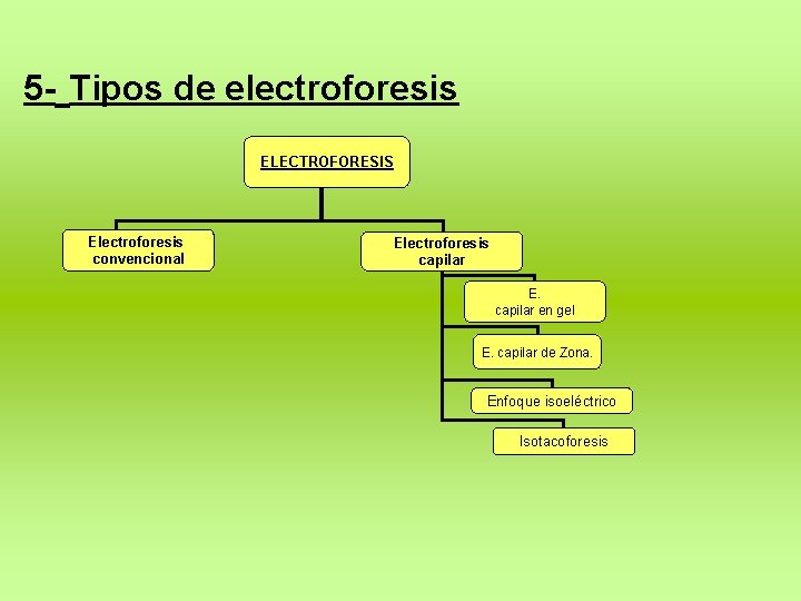 5 - Tipos de electroforesis ELECTROFORESIS Electroforesis convencional Electroforesis capilar E. capilar en gel