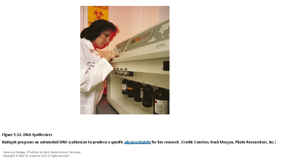 Figure 5. 12. DNA Synthesizer Biologist programs an automated DNA synthesizer to produce a