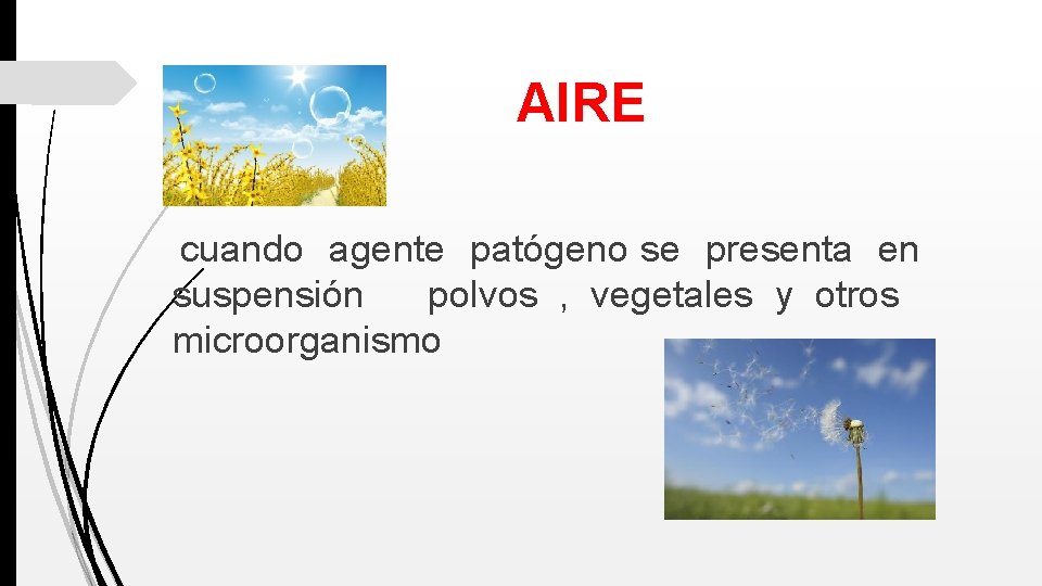 AIRE cuando agente patógeno se presenta en suspensión polvos , vegetales y otros microorganismo