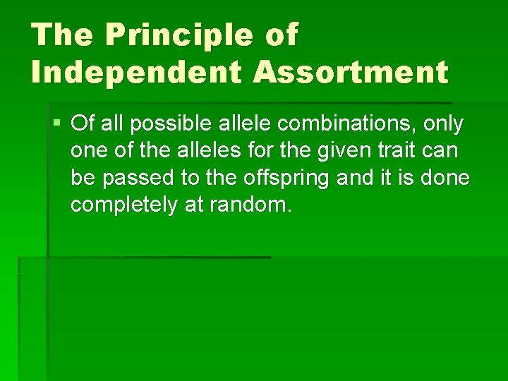 The Principle of Independent Assortment § Of all possible allele combinations, only one of