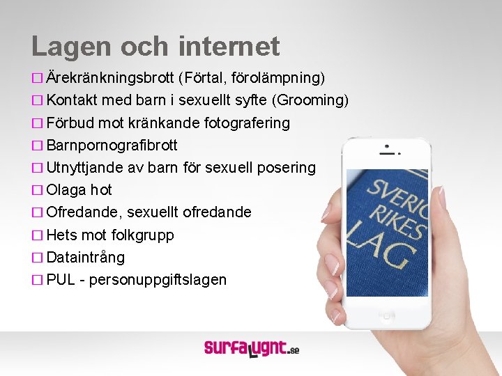 Lagen och internet � Ärekränkningsbrott (Förtal, förolämpning) � Kontakt med barn i sexuellt syfte