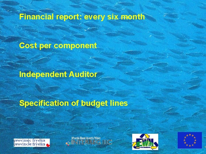 Financial report: every six month Cost per component Independent Auditor Specification of budget lines