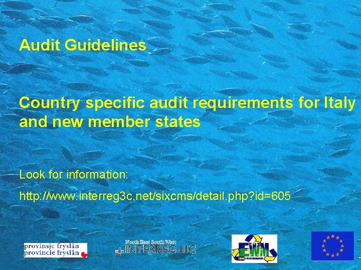 Audit Guidelines Country specific audit requirements for Italy and new member states Look for