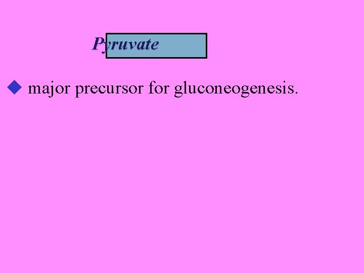Pyruvate major precursor for gluconeogenesis. 