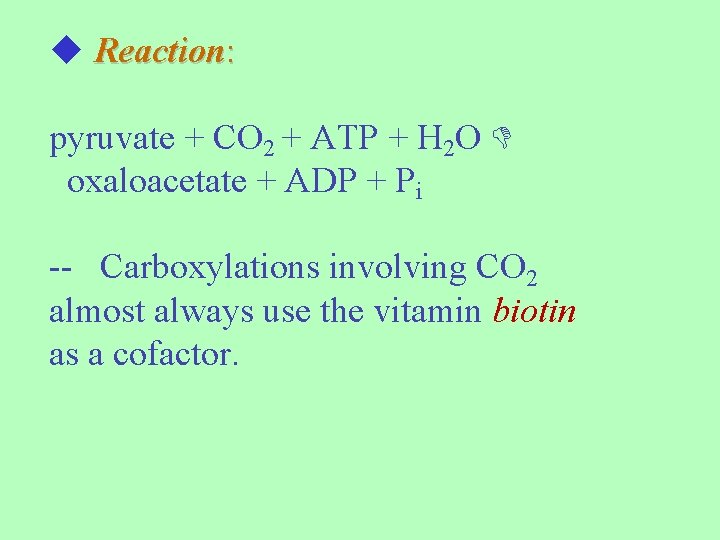  Reaction: pyruvate + CO 2 + ATP + H 2 O oxaloacetate +