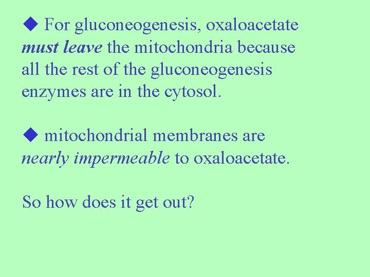  For gluconeogenesis, oxaloacetate must leave the mitochondria because all the rest of the