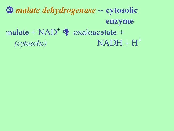  malate dehydrogenase -- cytosolic enzyme + malate + NAD oxaloacetate + (cytosolic) NADH
